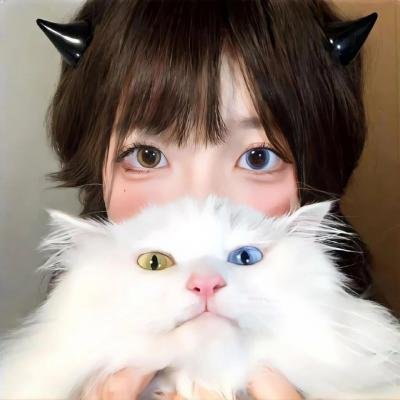 蝴蝶飞